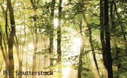 Tomorrow's Fibres For Nonwovens